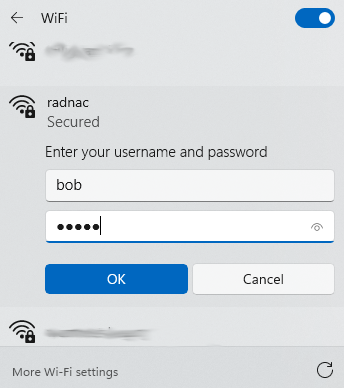 Microsoft Windows 11 configuring for the connection